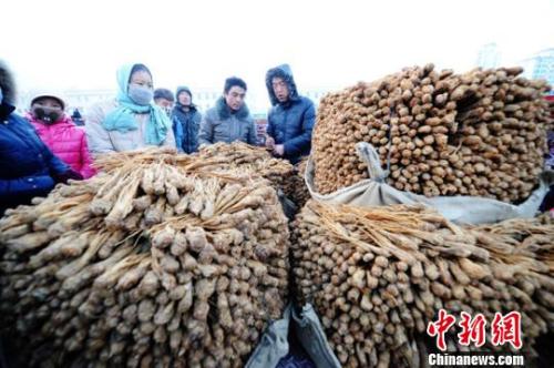 甘肅岷縣中國當歸城內中藥材交易場景。楊艷敏 攝