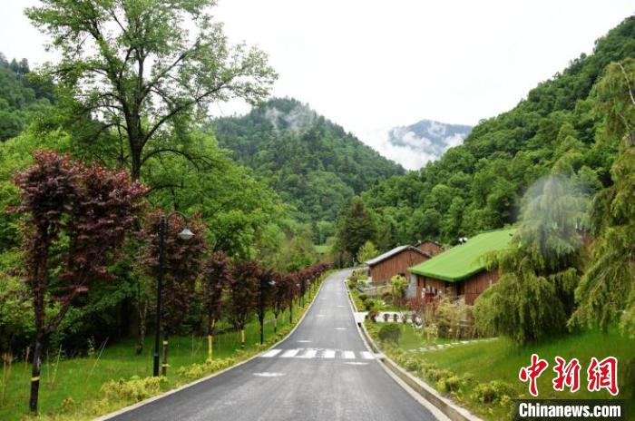 九寨溝熊貓園外景?！【耪瘻峡h委宣傳部提供 攝