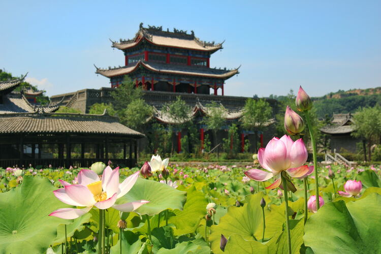 【云游渭南】心中若有桃花源，此處便是水云間！待疫情散盡，一起來渭南桃花源賞美景、觀民俗、享美食_fororder_2